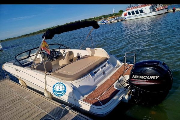 WhatsApp Image 2023-04-04 at 09.28.27 (2)