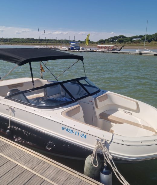 WhatsApp Image 2024-06-24 at 11.22.46 (1)